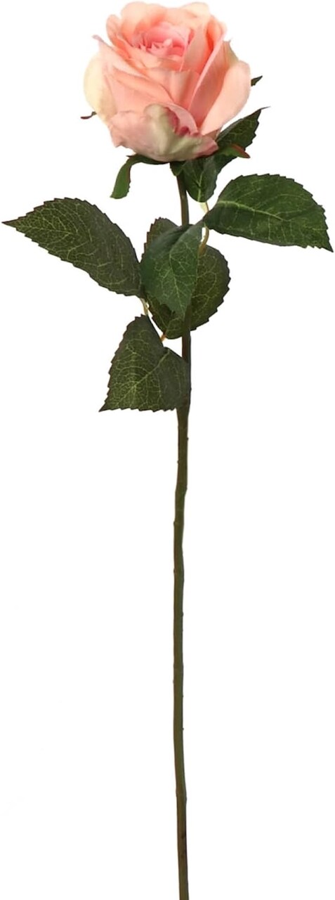 Rose Bud Stem - 48-Pack, Realistic Silk Foliage, Lifelike Blooms, Perfect for Floral Arrangements, Events & Home Décor - Ideal for All Seasons, Floral Home by Artificial Flowers
